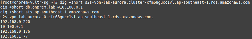 dig output on the on-premises server resolving the Aurora endpoint to a private VPC IP address